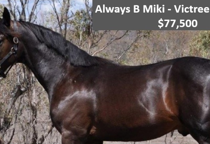 ABM VictreeBettecoltwebuse