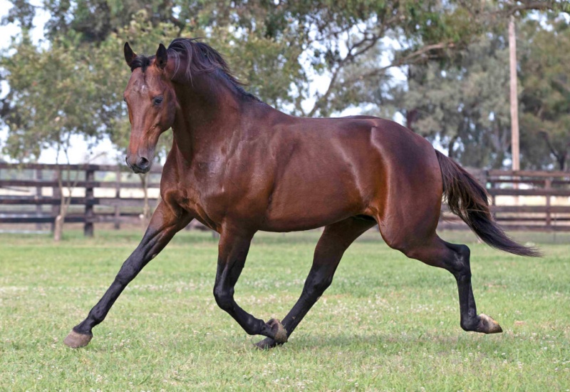 ABM running new News