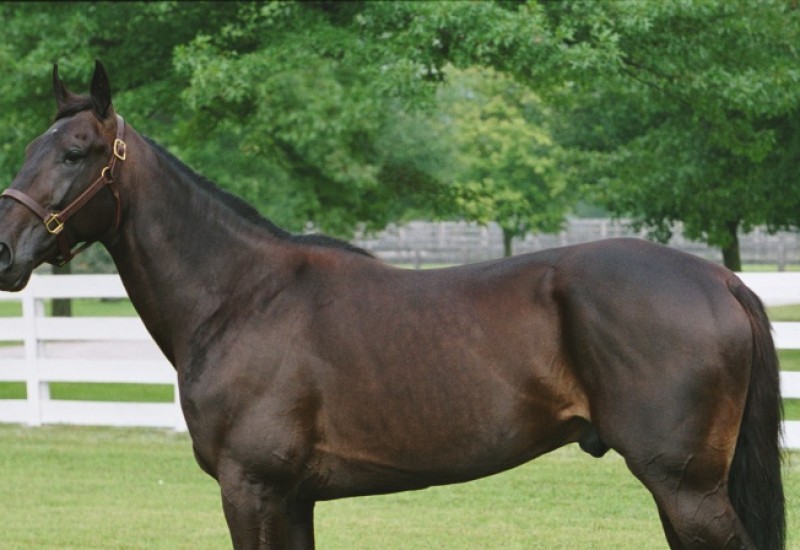 AndoverHallwebarticleMay4