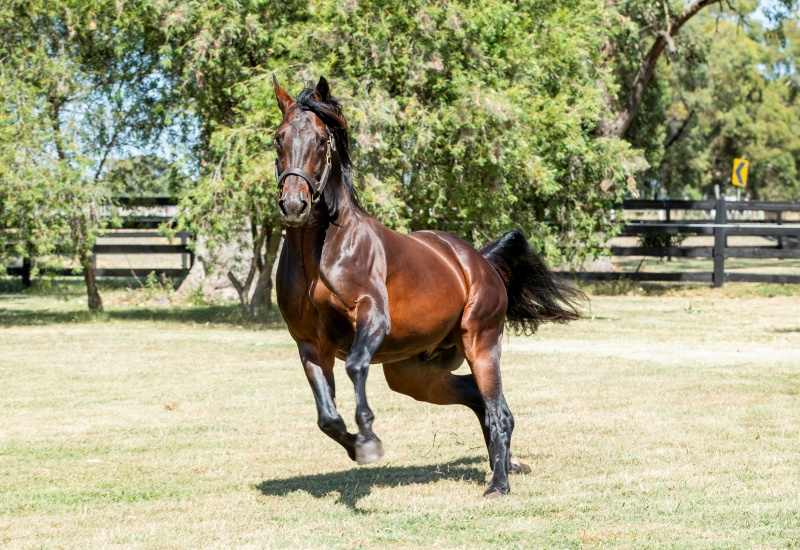 CCnewsarticleItsMaaTime