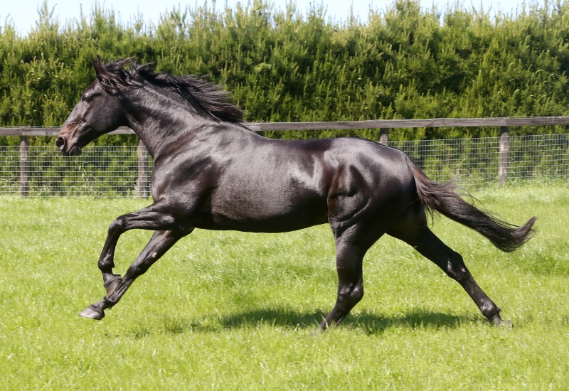 Creatinenewwebsizenov25