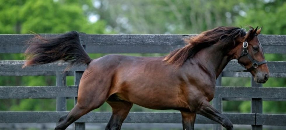 FPrunningwebsitenov22 v6 FitMaxWzkzMCwzMzZdresized