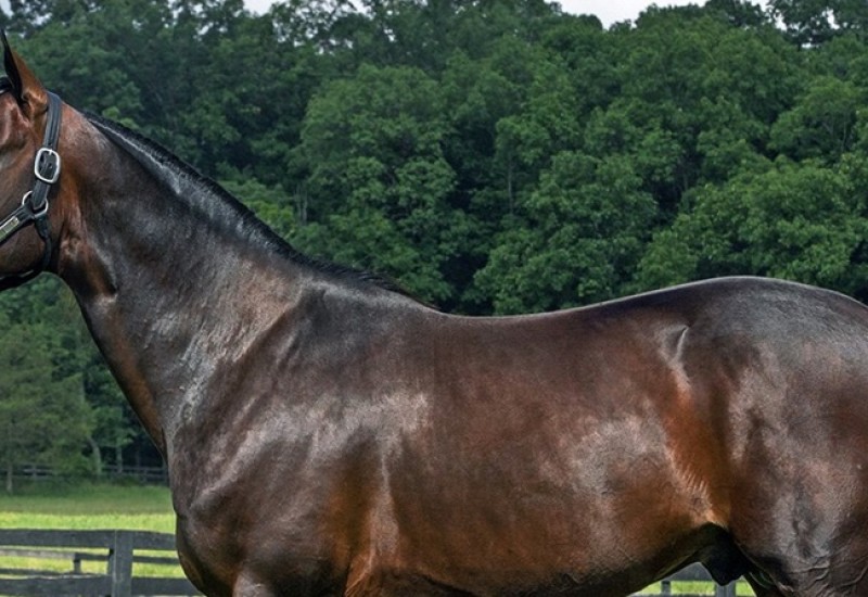 FatherPatricknewphotoweb