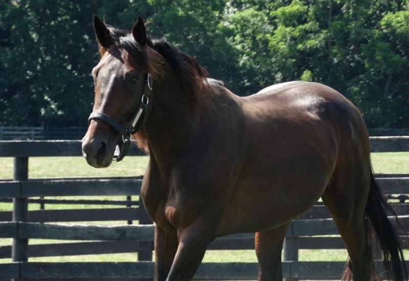 FatherPatrickwebarticle2