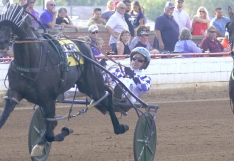 GrandTetonTattersallsPacewinwebarticle