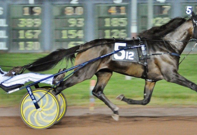 GreenshoeBealelimwebnews7