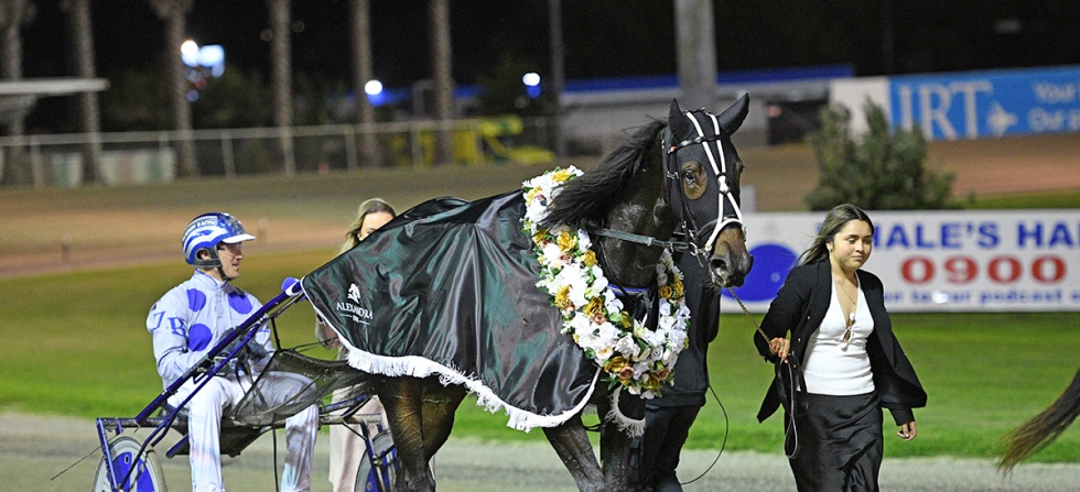 MeantToBeDerbywebarticle