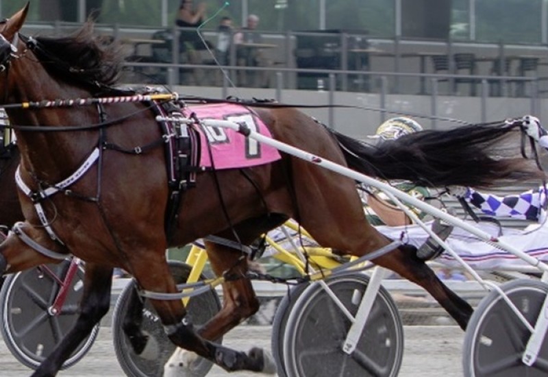 ProofPASSFinalwebarticle3