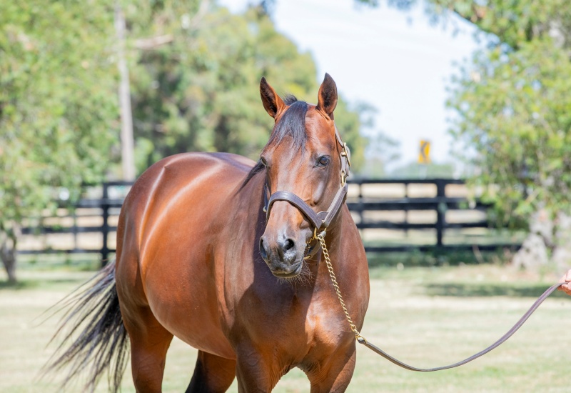 Vincentnewwebarticle2