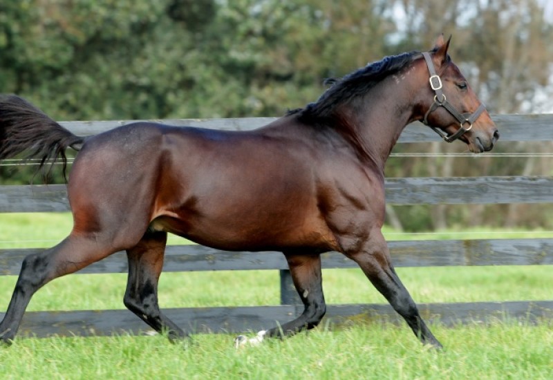 Vincentwebarticleimage v2