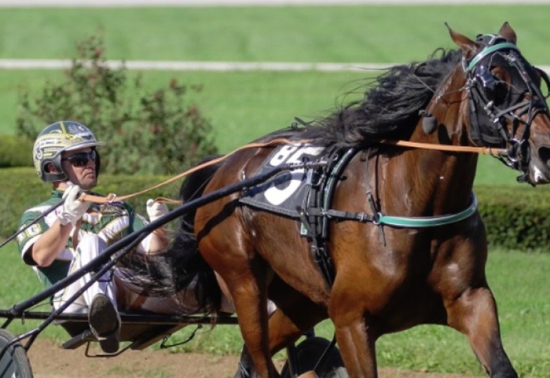 WhisperingOaksISSweb