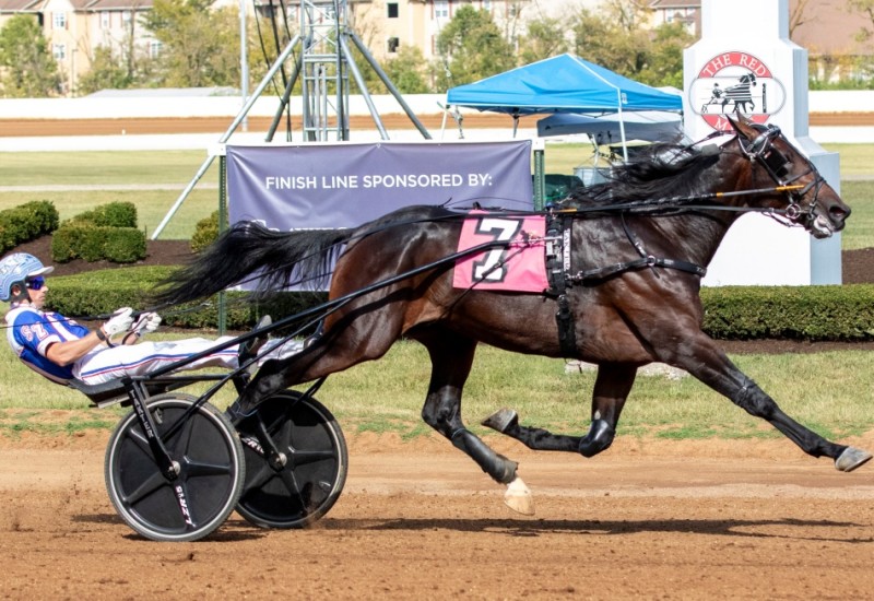 TacticalApproachKentuckyFuturitySlideA