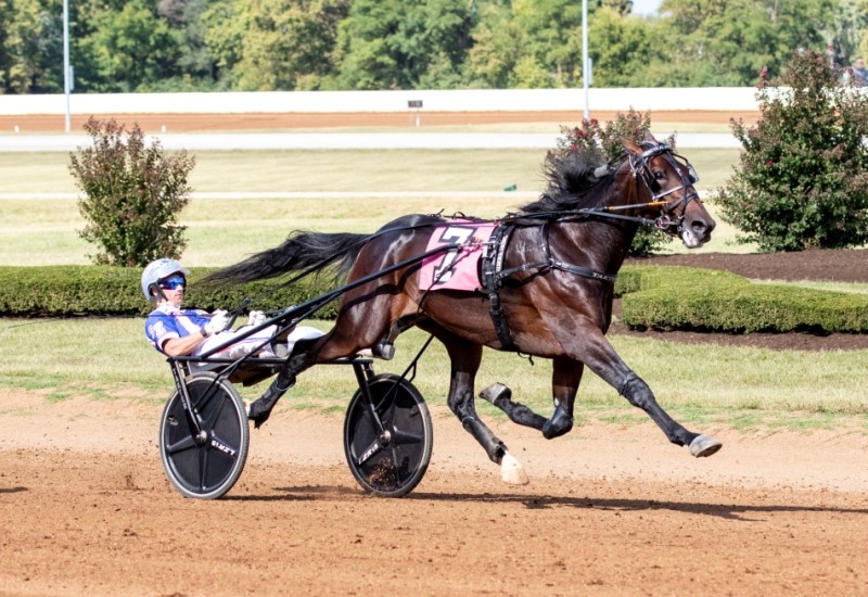 TacticalApproachKentuckyFuturitySlideb